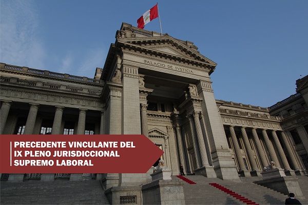 noticia